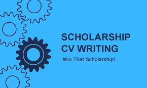 How to Craft an Academic CV for Scholarship